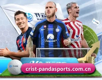 熊猫体育的故事 - PandaSports