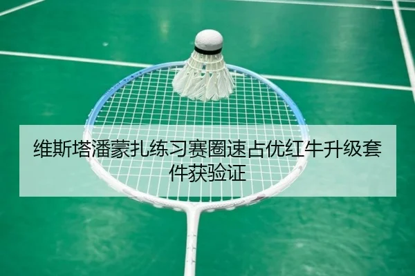维斯塔潘蒙扎练习赛圈速占优红牛升级套件获验证